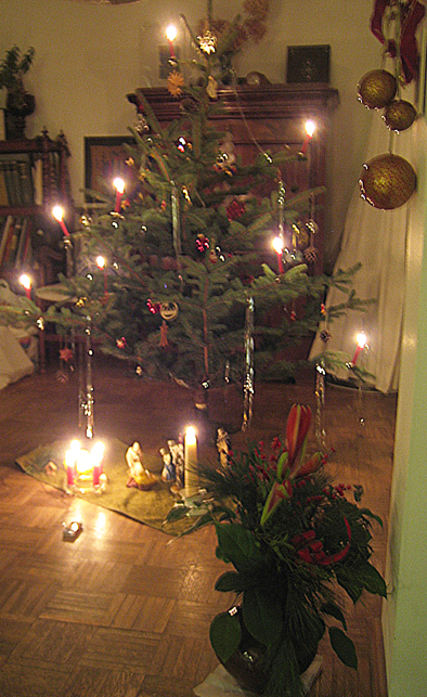 e0211204_2014344.jpg