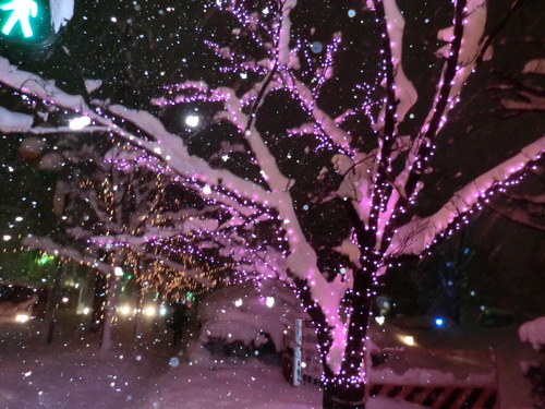 e0242504_2012789.jpg