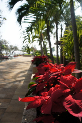 c0148705_11434115.jpg