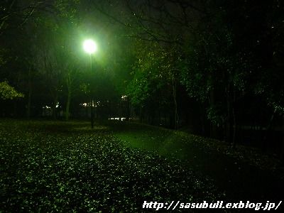 e0145805_17311584.jpg