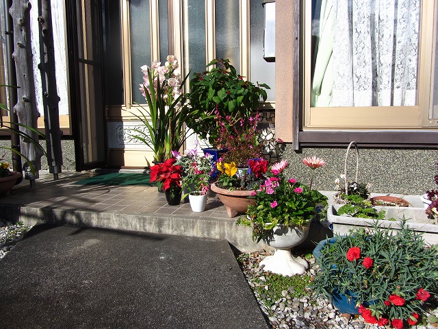 d0154609_19295549.jpg
