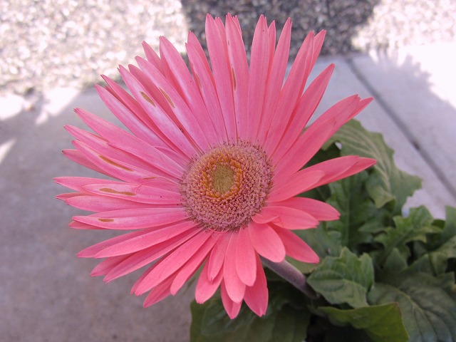d0154609_1934444.jpg