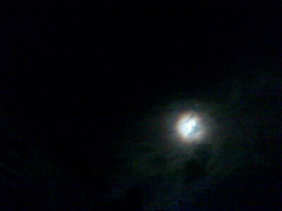 c0062315_20231265.jpg