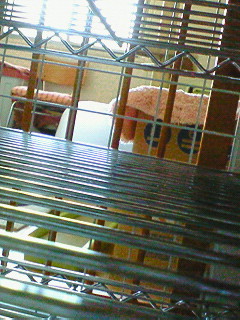 c0145016_965641.jpg