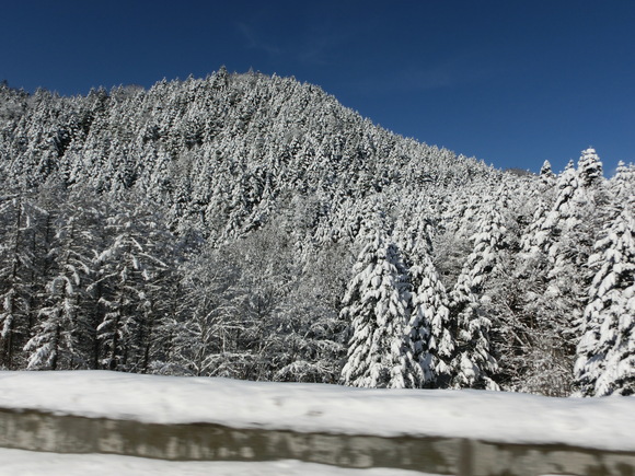 d0136122_20425968.jpg