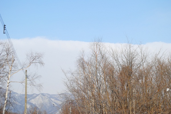 e0291827_1540415.jpg