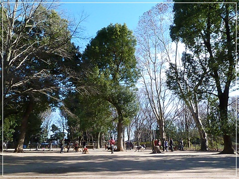 d0140133_2104220.jpg