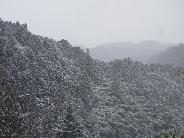 a0280635_21453872.jpg