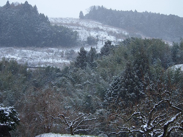 a0280635_21454746.jpg
