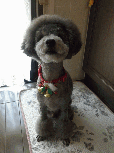 c0136736_1881044.gif