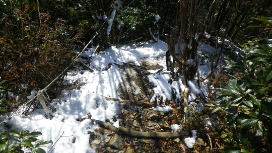 c0042847_17172844.jpg