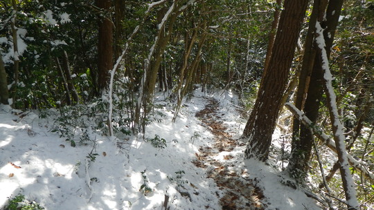 c0042847_1719281.jpg