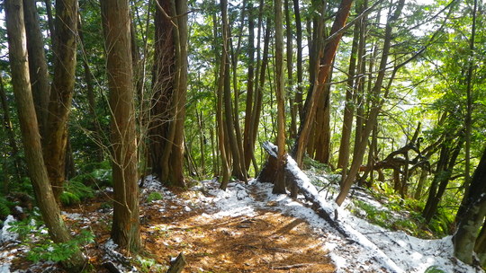 c0042847_17195460.jpg