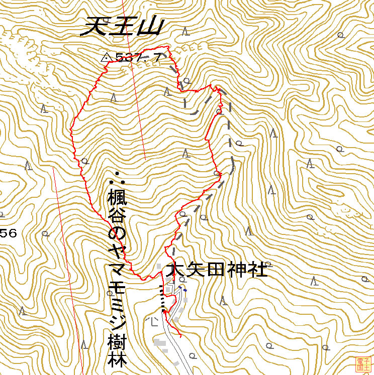 c0042847_17234082.jpg