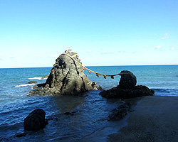 d0050155_1585267.jpg