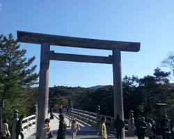 d0050155_27574.jpg