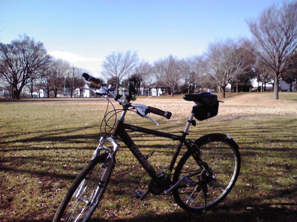 f0057955_20111040.jpg