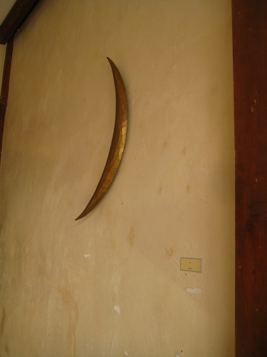 f0211463_11492514.jpg