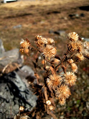 f0211463_14322721.jpg