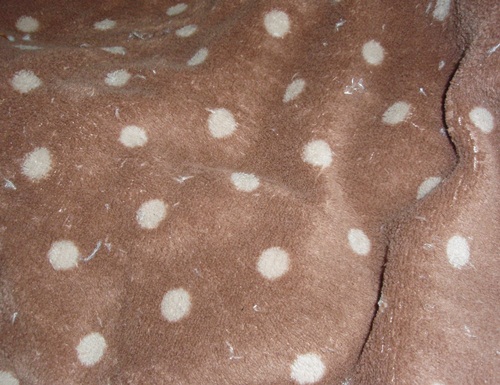 d0166164_9273670.jpg