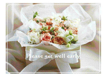 e0274872_22214182.gif