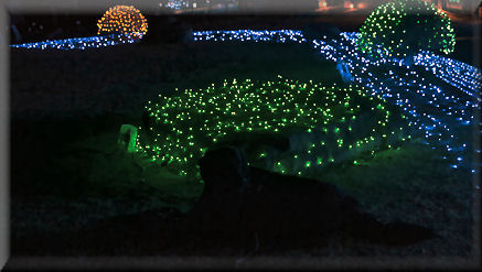 e0099375_1427717.jpg