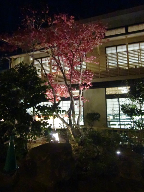 f0238779_1618654.jpg