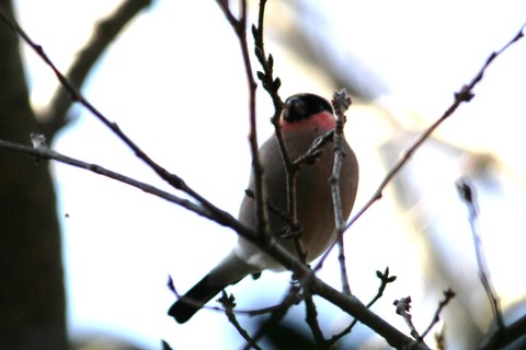 e0197884_1910160.jpg