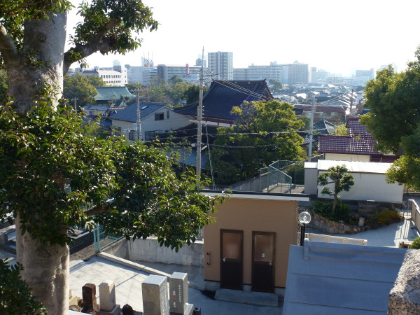 b0118987_8113282.jpg
