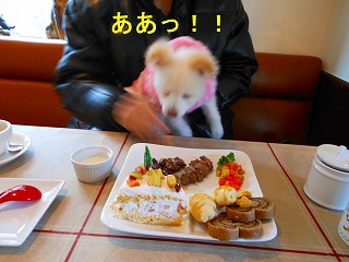 e0121589_11311689.jpg