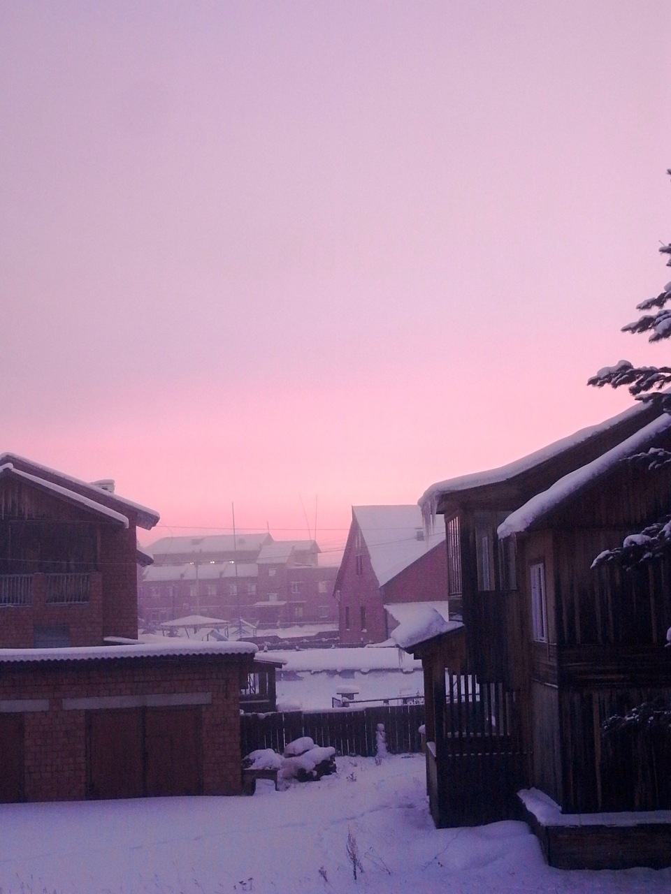 e0250594_246962.jpg