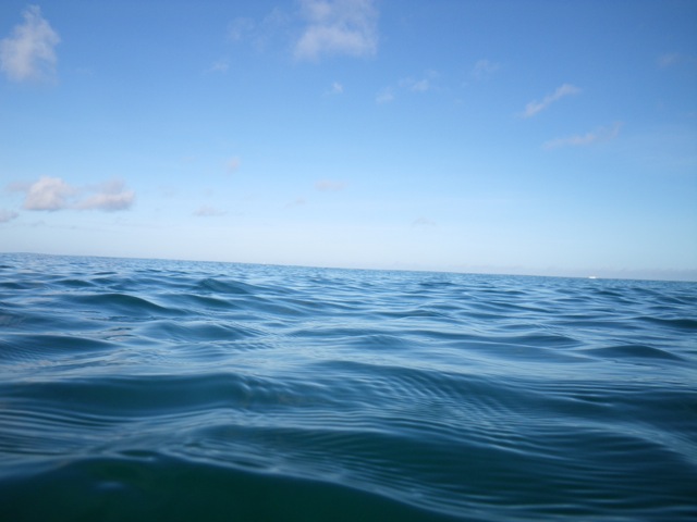 c0193396_10141030.jpg