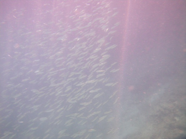 c0193396_10143447.jpg