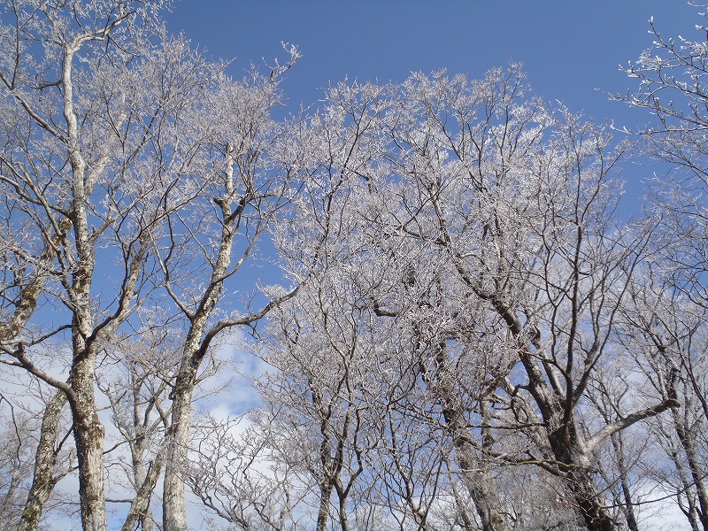 c0147398_2594920.jpg