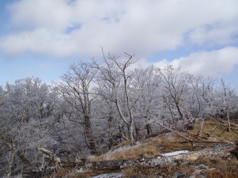 c0147398_2595950.jpg