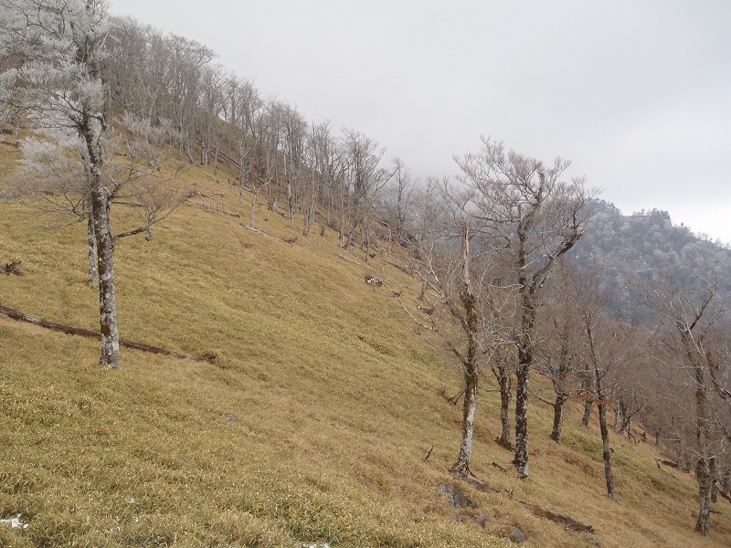 c0147398_304066.jpg