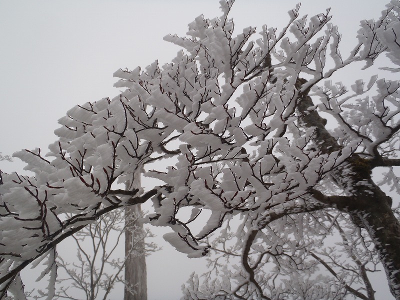 c0147398_3179.jpg