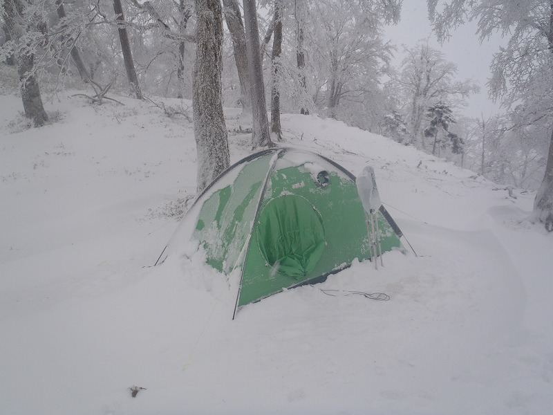 c0147398_333514.jpg