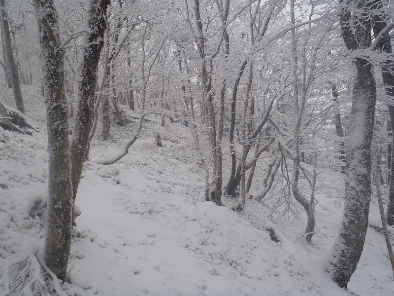 c0147398_344763.jpg