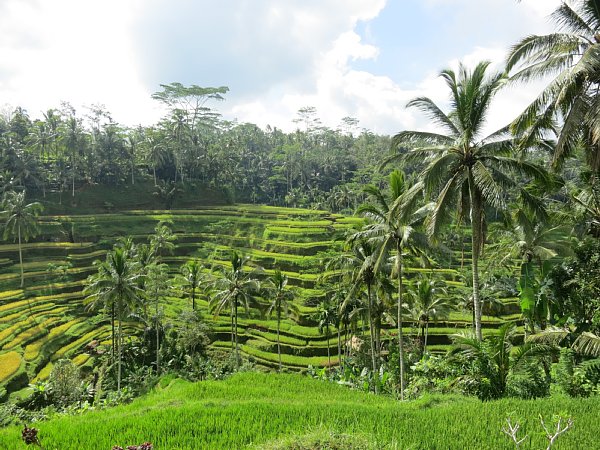 a0036499_2149650.jpg