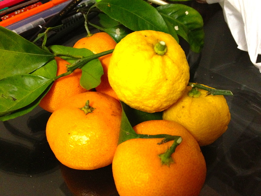 e0007801_112349.jpg