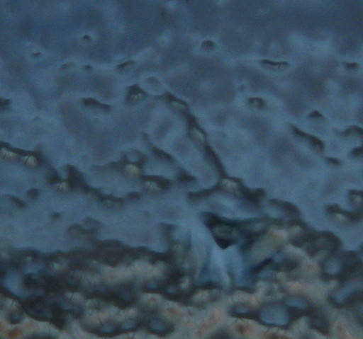 f0236201_7444541.jpg
