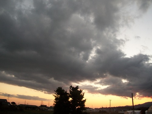 d0168003_2003688.jpg