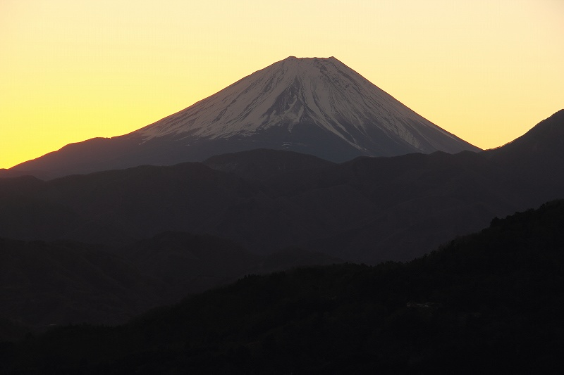 a0188405_10163981.jpg