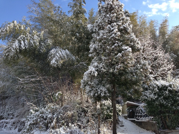 c0105306_16573195.jpg