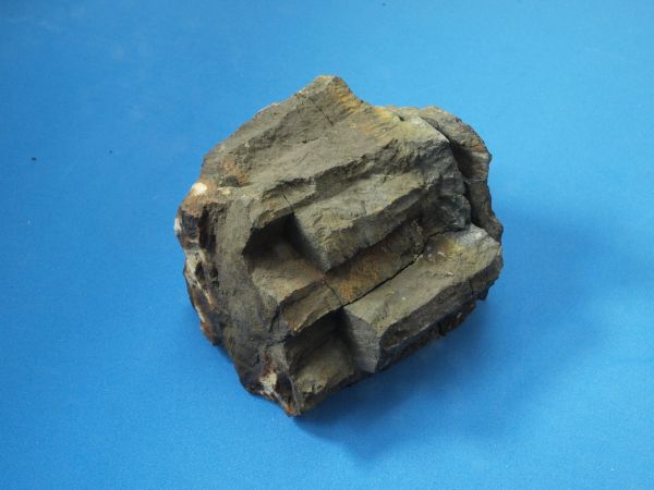 c0164709_6551067.jpg