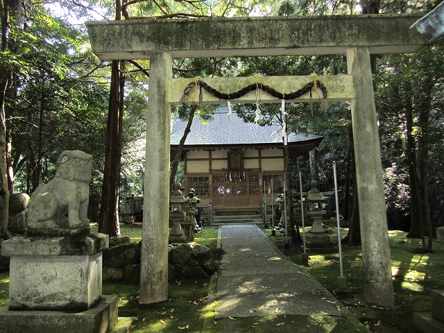 d0154609_15154071.jpg