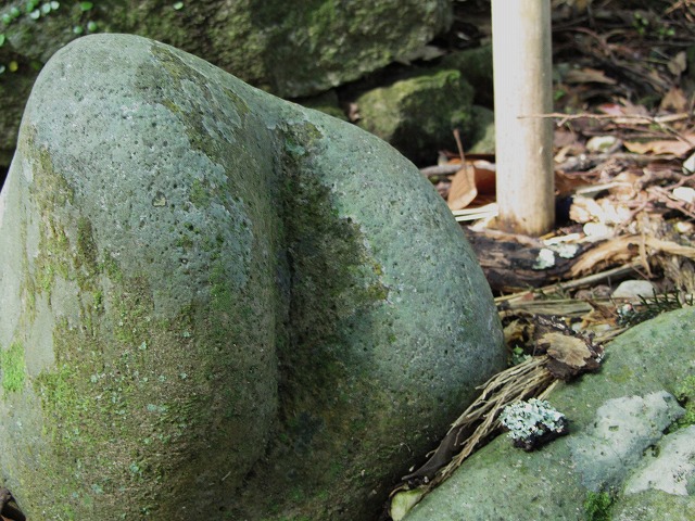 d0154609_15523251.jpg