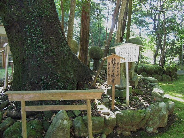 d0154609_1553357.jpg