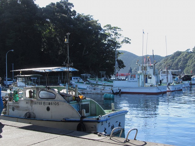 d0154609_1582476.jpg